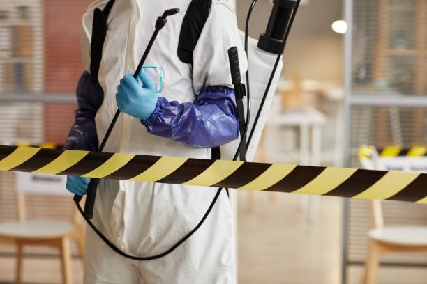 Professional Odor Removal technician working in Garden City, NY